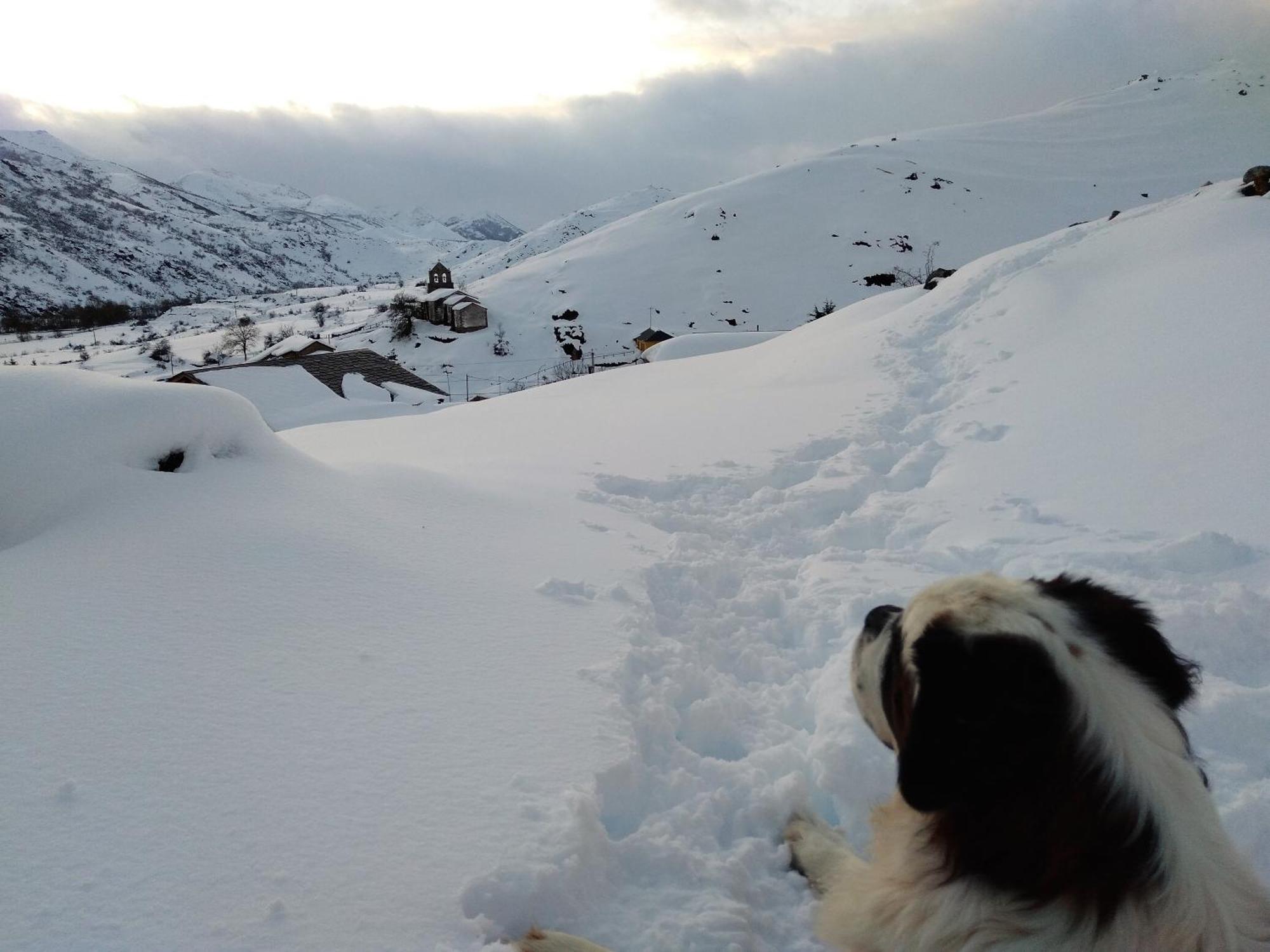 Casas Rurales Entre Babia Y La Luna Villafeliz Dış mekan fotoğraf
